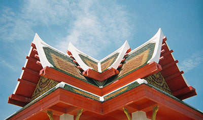 ได้ลองแล้ว อยากจะมาทัก กล้องโกดัก800