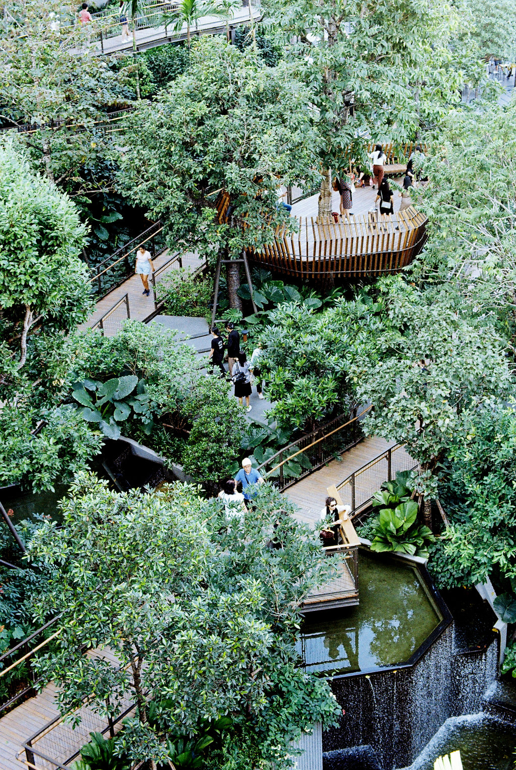 KODAK GOLD 200 EASTMAN