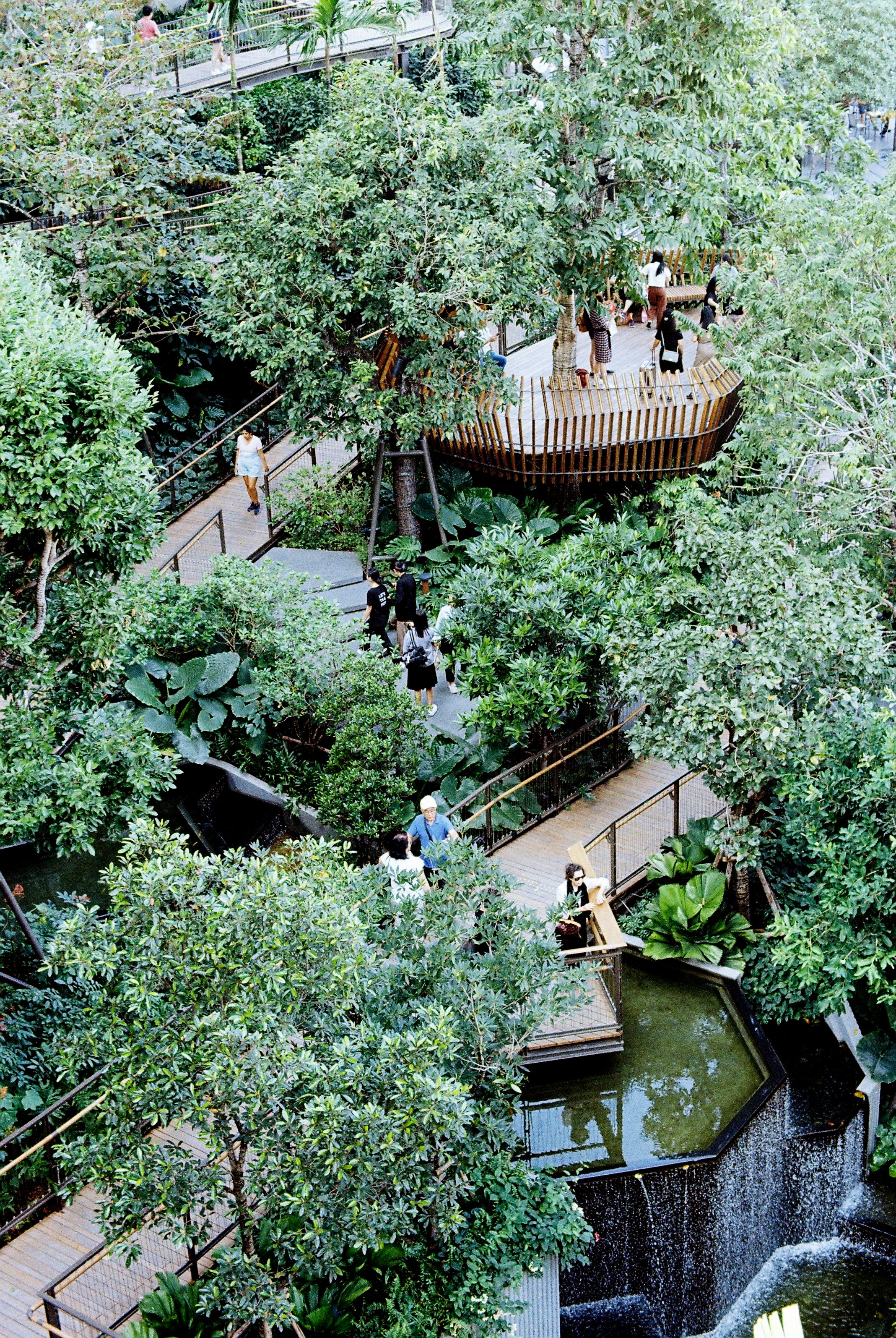 KODAK GOLD 200 EASTMAN