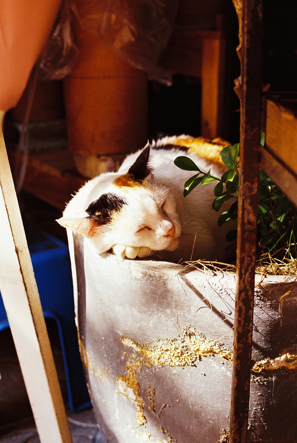 KODAK ULTRAMAX 400 EASTMAN