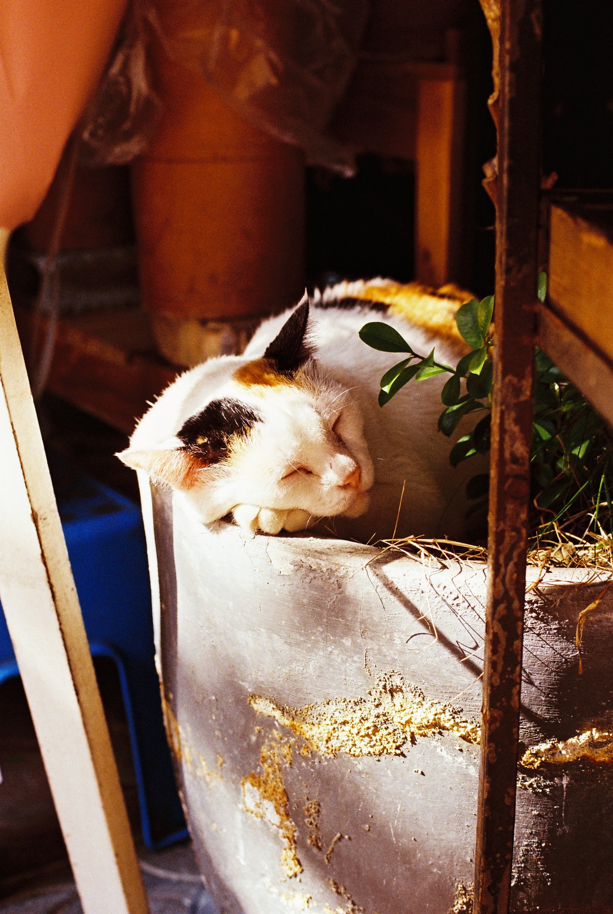 KODAK ULTRAMAX 400 EASTMAN