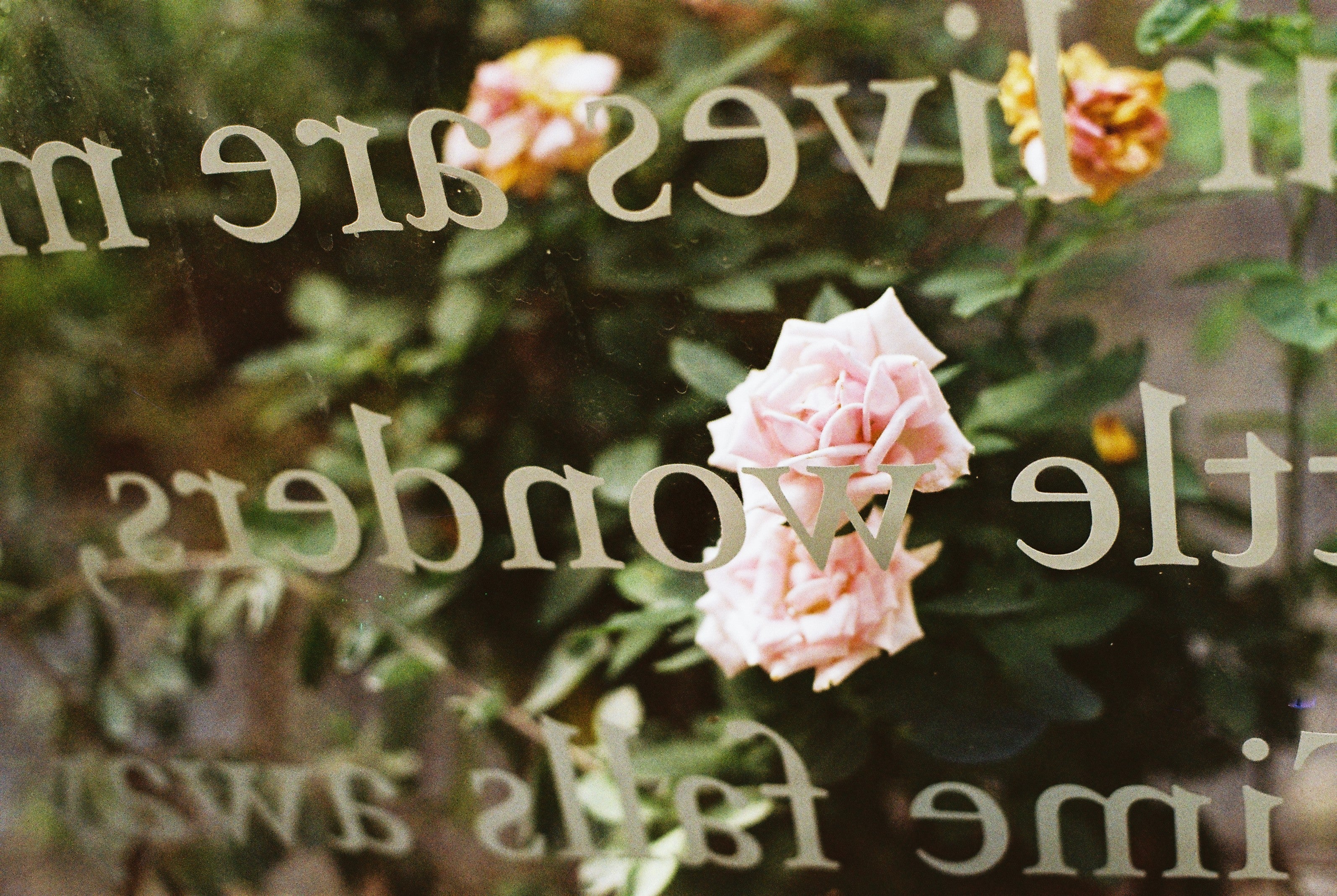 KODAK GOLD 200 EASTMAN