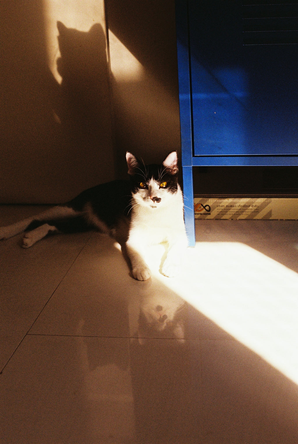 KODAK ULTRAMAX 400 EASTMAN