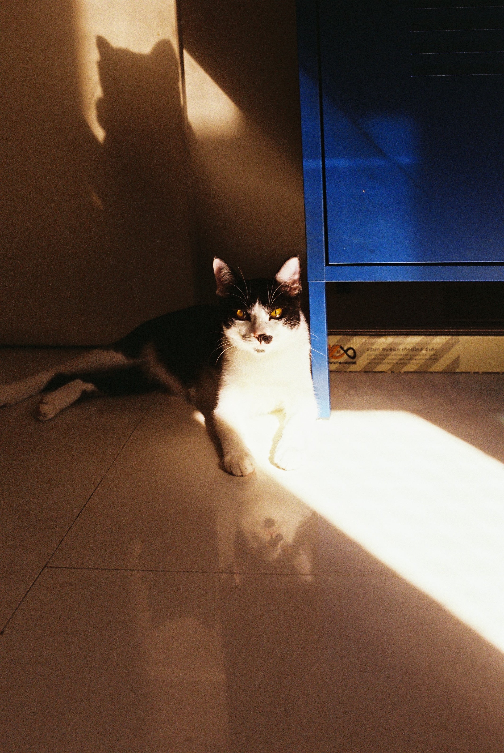 KODAK ULTRAMAX 400 EASTMAN