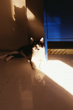 KODAK ULTRAMAX 400 EASTMAN