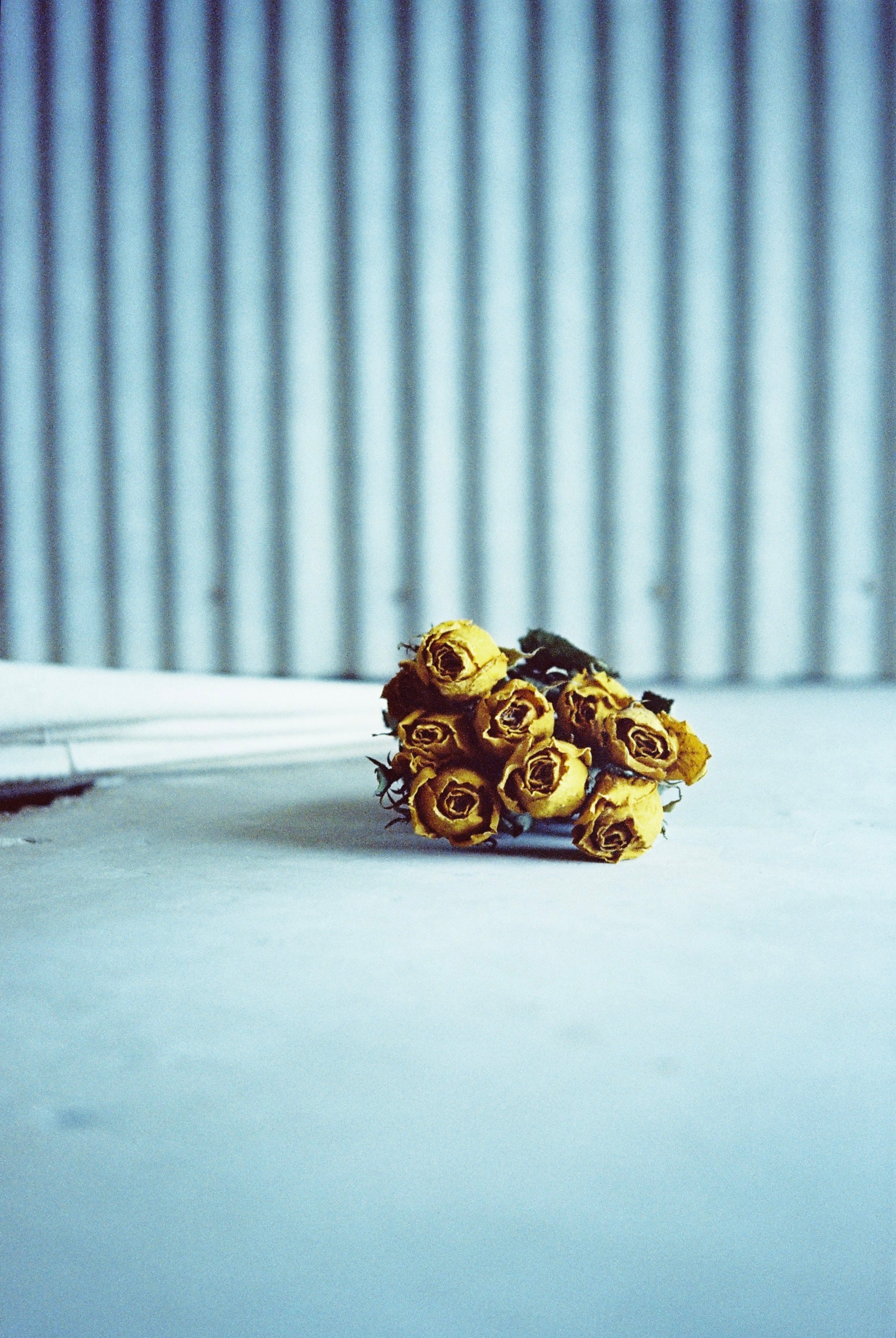 RAINBOW ROAD 500T/5219 AHU